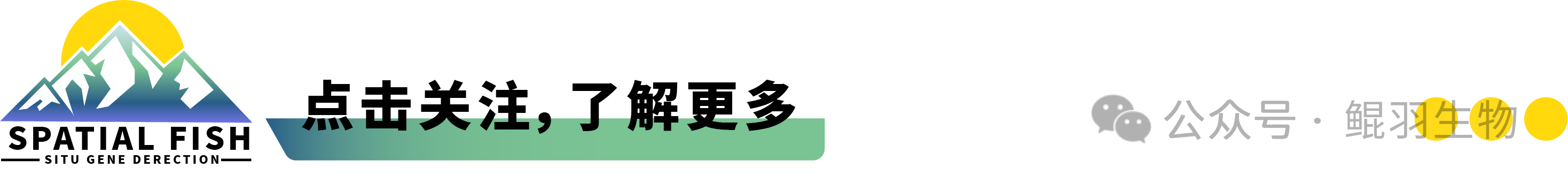 8f9b5fa73b459588b5d7a3c3aa13fcbc.png