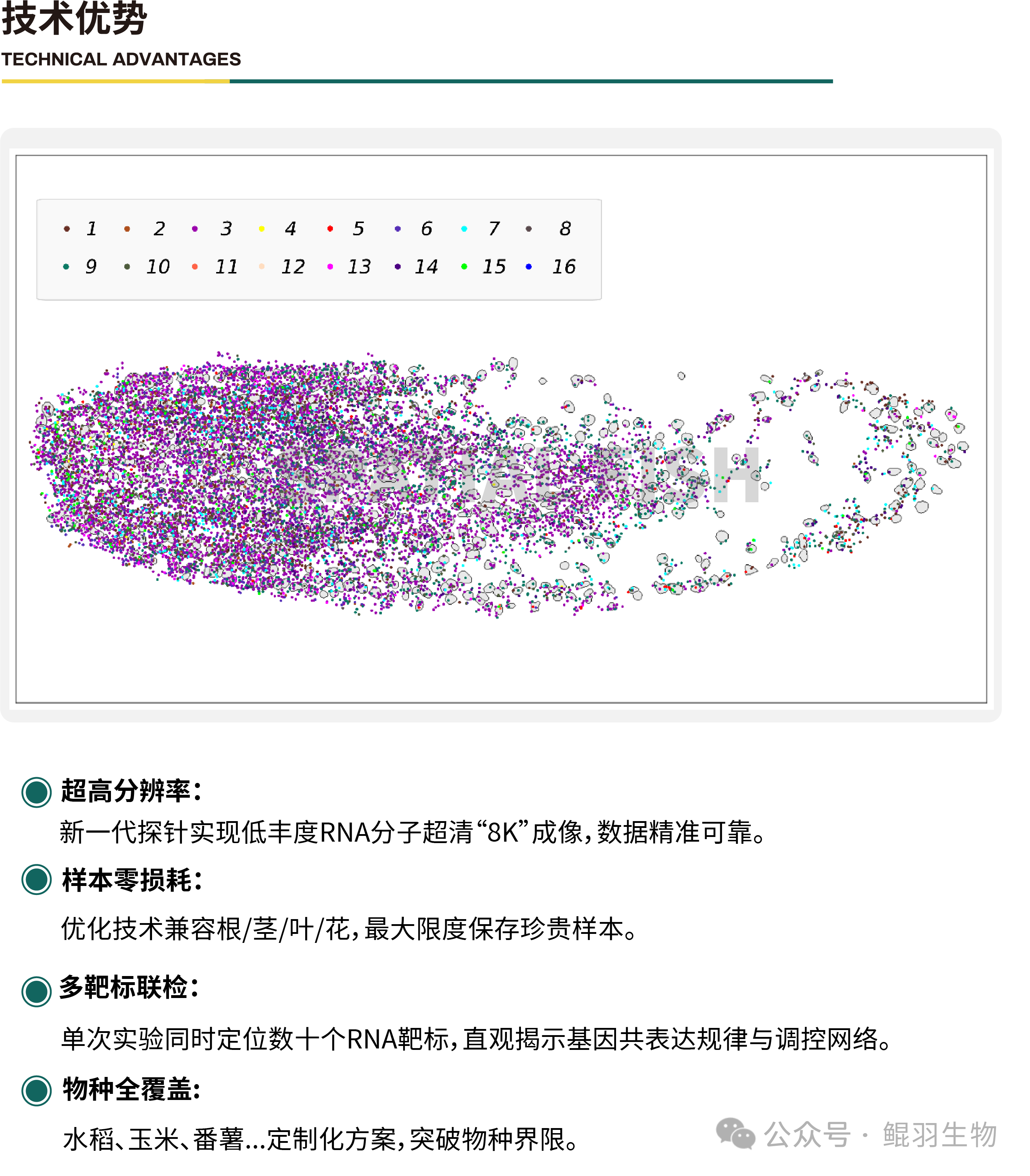 f877f182d95e06f2c75bd64f1a57e40c.png
