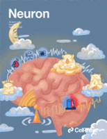 RCA- Neuron-derived neuropeptide Y fine-tunes the splenic immune responses