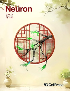 RCA-Astrocyte-mediated regulation of BLAWFS1 neurons alleviates risk-assessment deficits in DISC1-N mice. Neuron