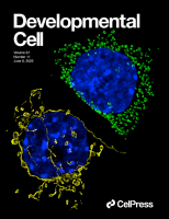 RNA-Neuronal guidance factor Sema3A inhibits neurite ingrowth and prevents chondrocyte hypertrophy in the degeneration of knee cartilage in mice, RNA-monkeys and humans. Bone Res