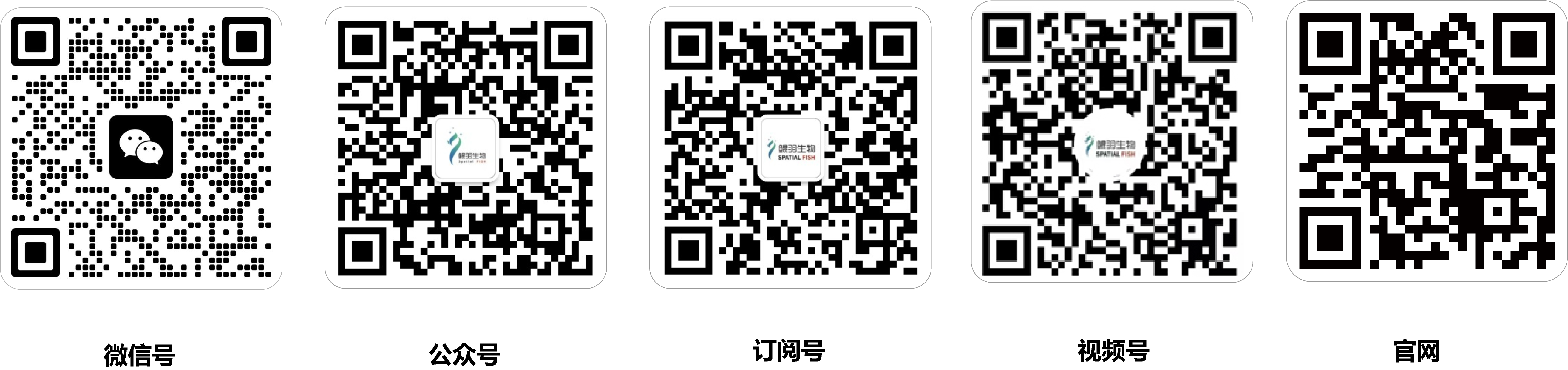 1756955660291172.png 微信号+公众号+订阅号+视频号+官网 .png