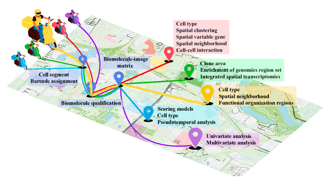 1775726925850832.png 图片1.png