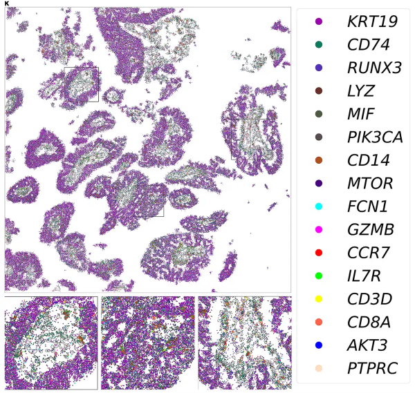 1787106027993759.png 图片3(1).png